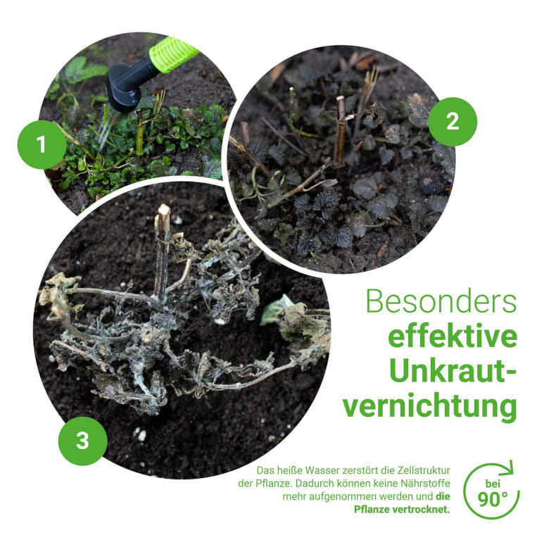 Unkrautfuchs Besonders effektive Unkrautvernichtung