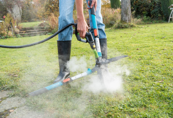 Unkrautfuchs Dampfreiniger Werkzeug reinigen