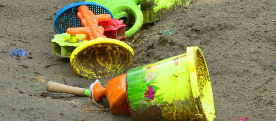 Unkrautfuchs Unkrautvernichter Unkraut bekämpfen in Pflasterfugen