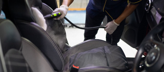 Unkrautfuchs Dampfreiniger Sitzpolster Auto und Einstieg reinigen