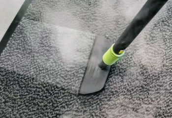 Unkrautfuchs Dampfreiniger Teppich reinigen