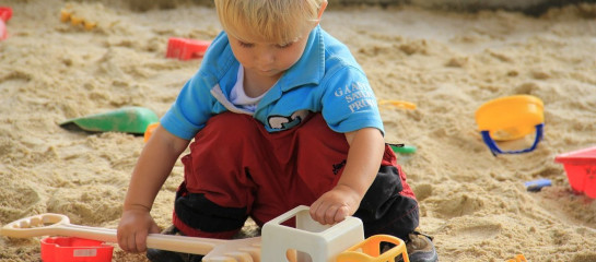 Unkrautfuchs Unkrautvernichter Unkraut bekämpfen am Sandkasten